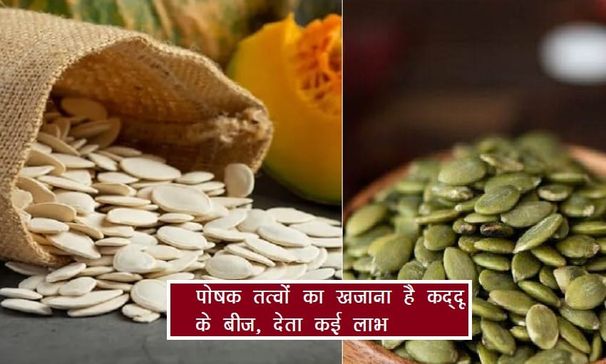 kaddu seeds khane ke fayde : पुरूषों की प्रजनन क्षमता बढ़ाने में कारगर हैं कद्दू के बीज, सेवन से बढ़ते हैं शुक्राणु