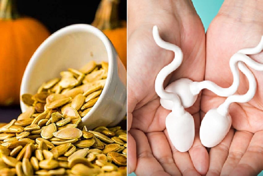 kaddu seeds khane ke fayde : पुरूषों की प्रजनन क्षमता बढ़ाने में कारगर हैं कद्दू के बीज, सेवन से बढ़ते हैं शुक्राणु